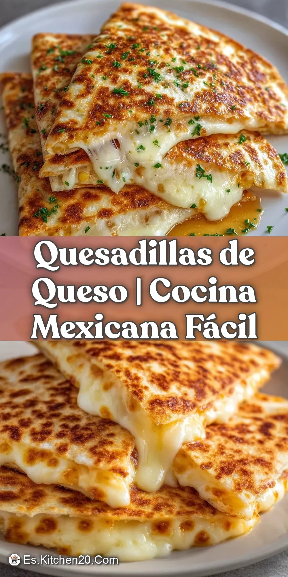 Délicieuse recette quesadillas