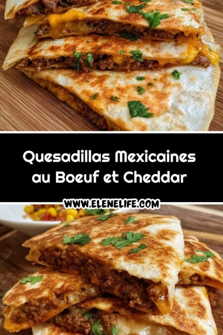 Quesadilla Bœuf : Un Plat Savoureux et Réconfortant