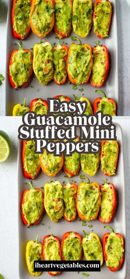 Guacamole pour sublimer plats